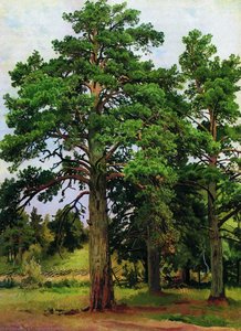 Pine Without The Sun. Mary-howe — Ivan Ivanovich Shishkin, Realism