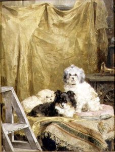 Three Dogs — Charles Van Den Eycken