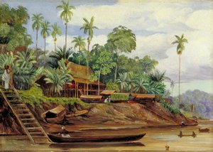 River Scene At Sarawak, Borneo, When The Tide Is Getting Low — Marianne North