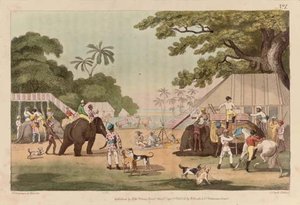 Oriental Field Sports; Being A Complete, Detailed, And Accurate Description Of The Wild Sports Of The East — Samuel Howitt