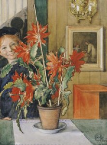 Brita's Cactus — Carl Larsson