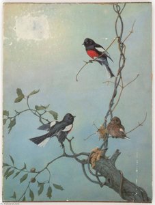 Untitled (three Birds On Tree Branches Against Blue Sky) — Joseph Cornell