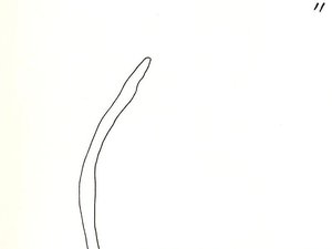 Apunts Per Al Llibre Lapidari 11 — Joan Miró