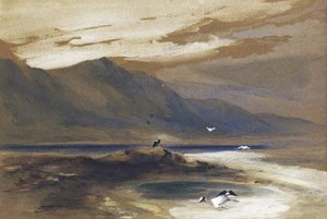 Rio Santa Cruz — Conrad Martens
