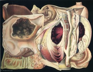 Untitled (304) — Frederick Sommer