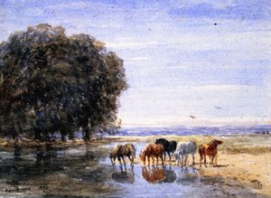 Horses Drinking — David Cox
