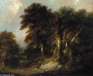 Pheasants And Rabbits On A Wooded Track