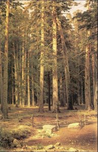 Ship Timber Grove — Ivan Ivanovich Shishkin, Romanticism