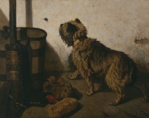 Le Chien À La Mouche — Alfred Stevens
