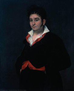 Don Ramon Satue — Francisco José De Goya Y Lucientes