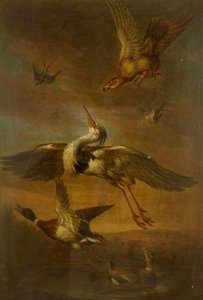 A Hawk Striking At A Heron — Thomas Stringer