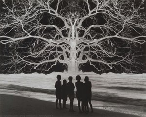 Apocalypse Ii — Jerry N. Uelsmann