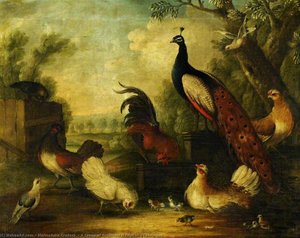 A Group Of Ornamental Fowl In A Landscape — Marmaduke Cradock