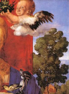 Madonna With The Siskin (detail) — Albrecht Dürer