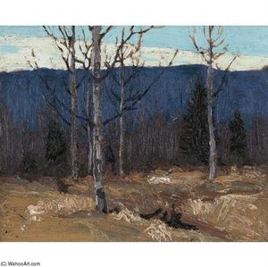 Hillside On Big Cauchon Lake - Algonquin Park