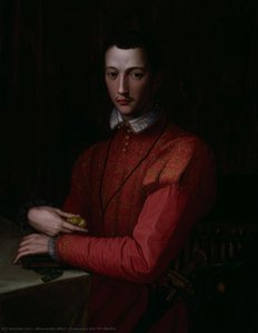 Francesco De' Medici — Alessandro Allori