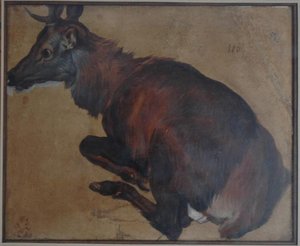 Cerf Couché — Alexandre François Desportes