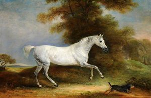 A Dappled Grey Hunter Called 'spangle' And A Terrier Called 'reveller' — Sr John E Ferneley