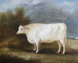 A Prize Ox In A Landscape — Sr John E Ferneley, Contemporary Realism