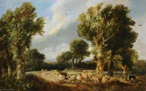 A Flock of Sheep