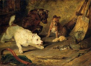 Ratcatchers — Sir Edwin Henry Landseer