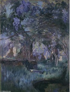 Luci Nel Parco