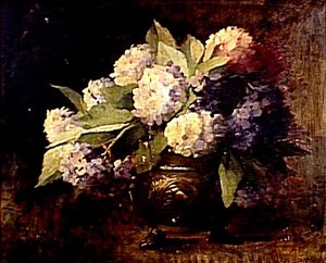Hortensias — Lothar Von Seebach