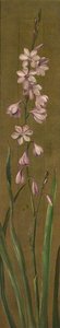 A Species Of Watsonia — Marianne North, Victorian Botanical Art