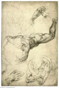 Studies Of Arms And Hands (recto) — Michelangelo Buonarroti, High Renaissance