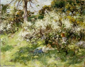 Sloe Blossom — William Stewart Macgeorge