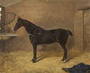 'blackbird', A Dark Bay, In A Stable — Herbert D Atkinson