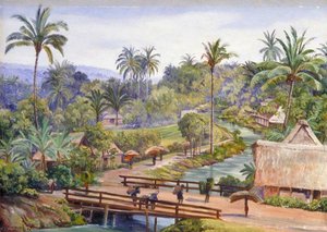 View From The Bridge Of Magelang, Java — Marianne North