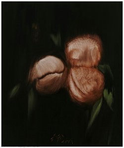 Peaches — Xueyang Zhao