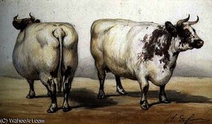 Study Of Two Long-horned Cows — Charles Olivier De Penne
