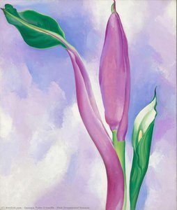 Pink Ornamental Banana — Georgia O'keeffe