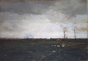 The Meadows
