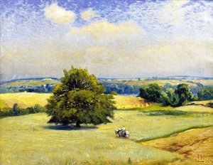 Harvest Fields — Mathias Joseph Alten