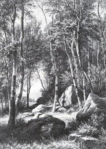 At The Edge Of A Birch Grove. Valaam — Ivan Ivanovich Shishkin, Realism