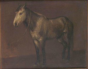 Etude de cheval