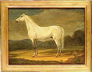Cheval De Napoléon Ier Le Vizir — Martinet Pierre