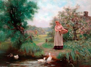 Feeding The Ducks
