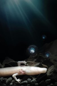 Human Fish, Proteus — Innovatif, Postojnska Jama D.d.