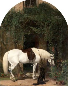 White Horse And Retriever — Alfred Corbould
