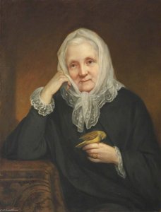 Portrait of a Lady