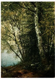 Study Of Beeches — John Frederick Kensett