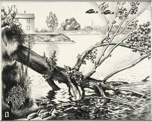 Fallen Tree — Louis Lozowick