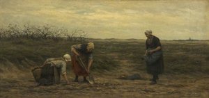 Potato Digging