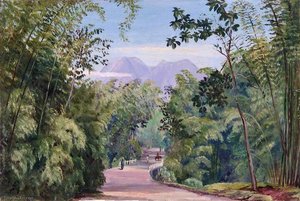 Near Malang, Java — Marianne North