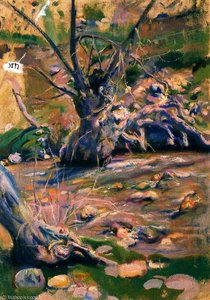 Untitled (934) — Carlos Saenz De Tejada
