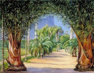 Palms In The Botanic Garden At Rio Janeiro — Marianne North, Contemporary Realism